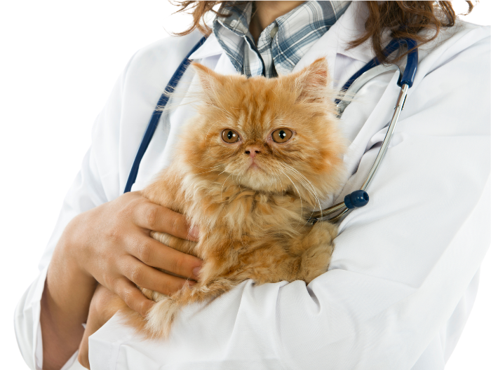 Adsız tasarım (58)